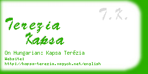 terezia kapsa business card